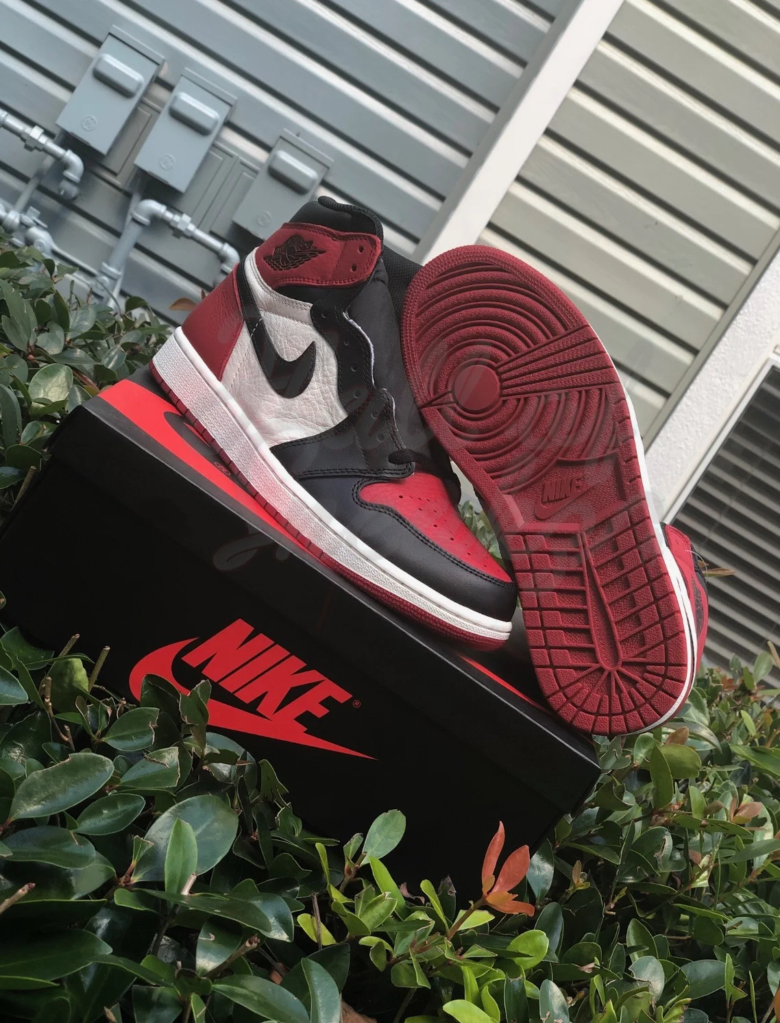 high bred toe