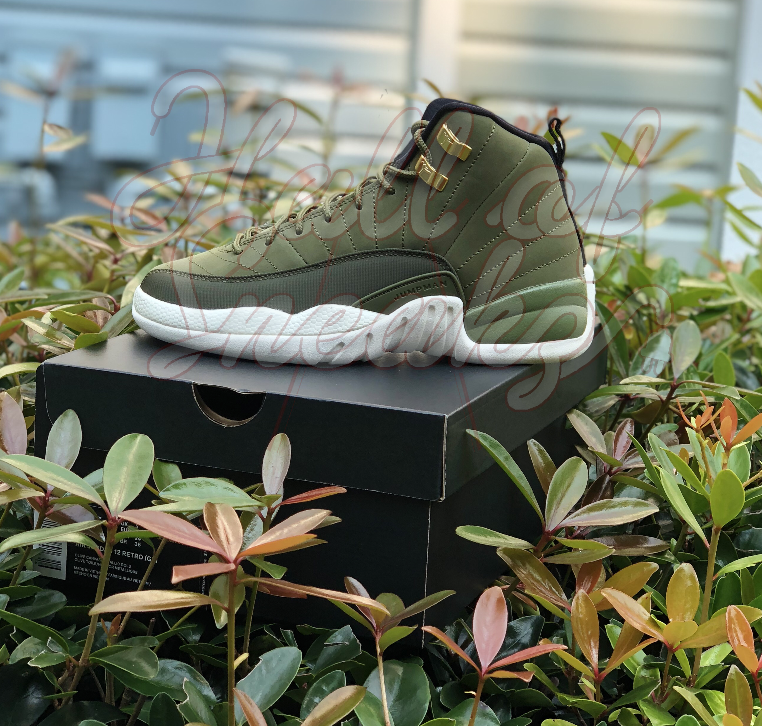 jordan 12 retro olive