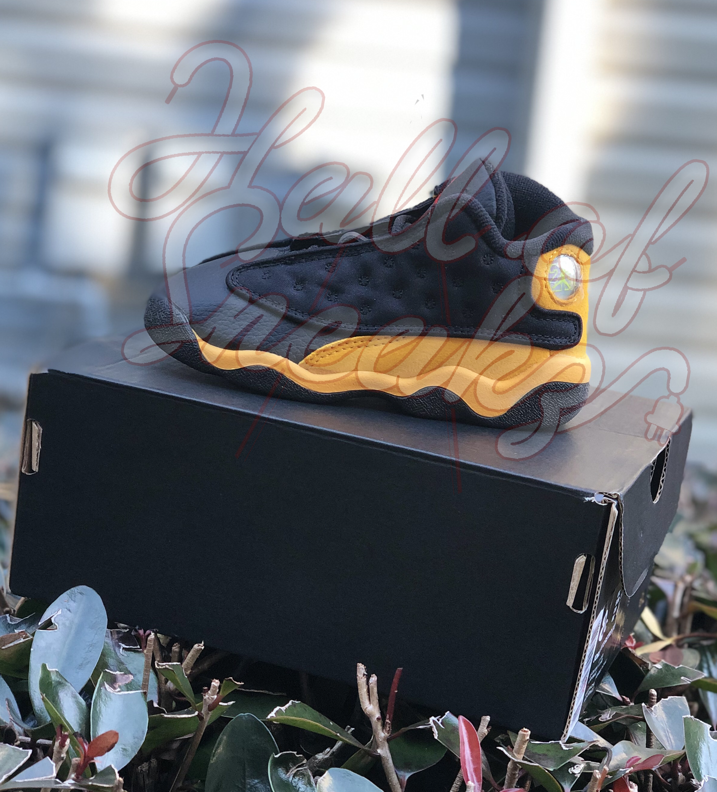 retro 13 class of 2002