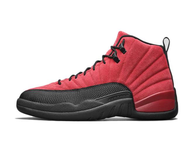 jordan 10 flu game