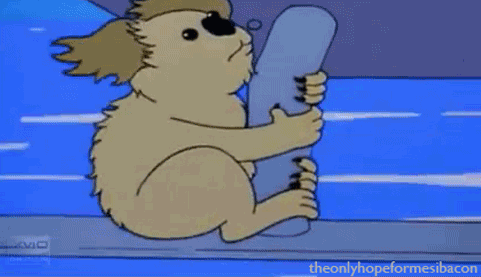 koala-simpsons-gif.gif