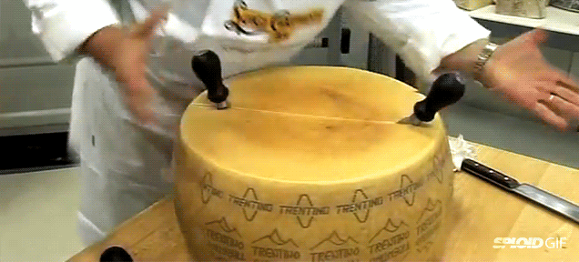 giphy (2).gif