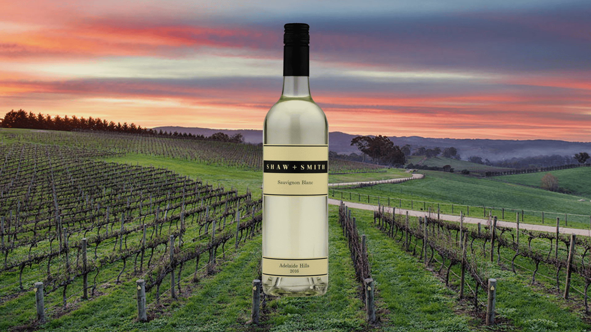 Shaw &amp; Smith Adelaide Hills Sauvignon Blanc 2018 