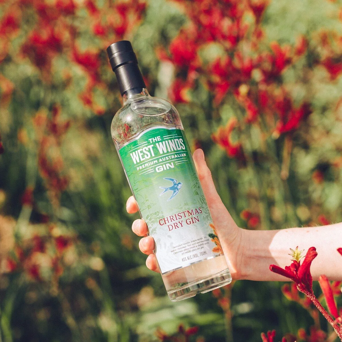 West Winds Christmas Dry Gin