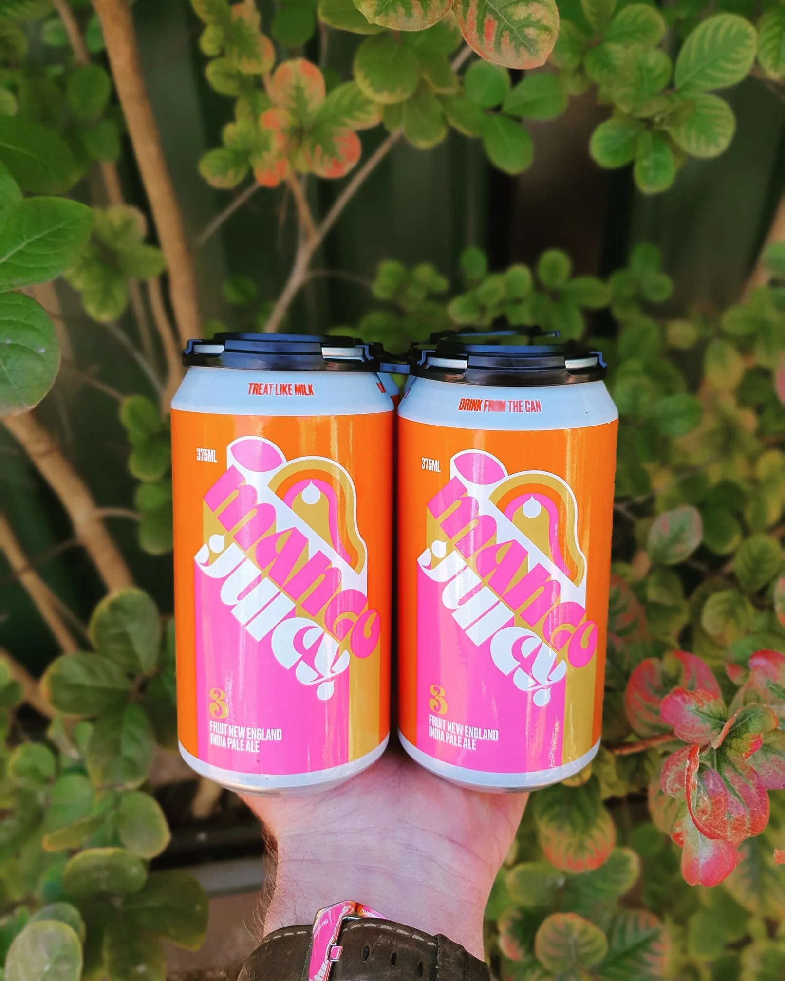 3 Ravens Mango Juicy NEIPA