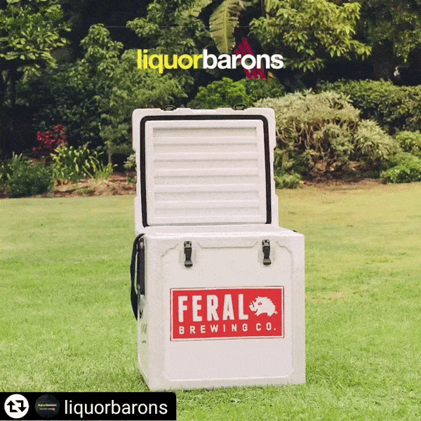 WIN this FERAL ESKY?! 