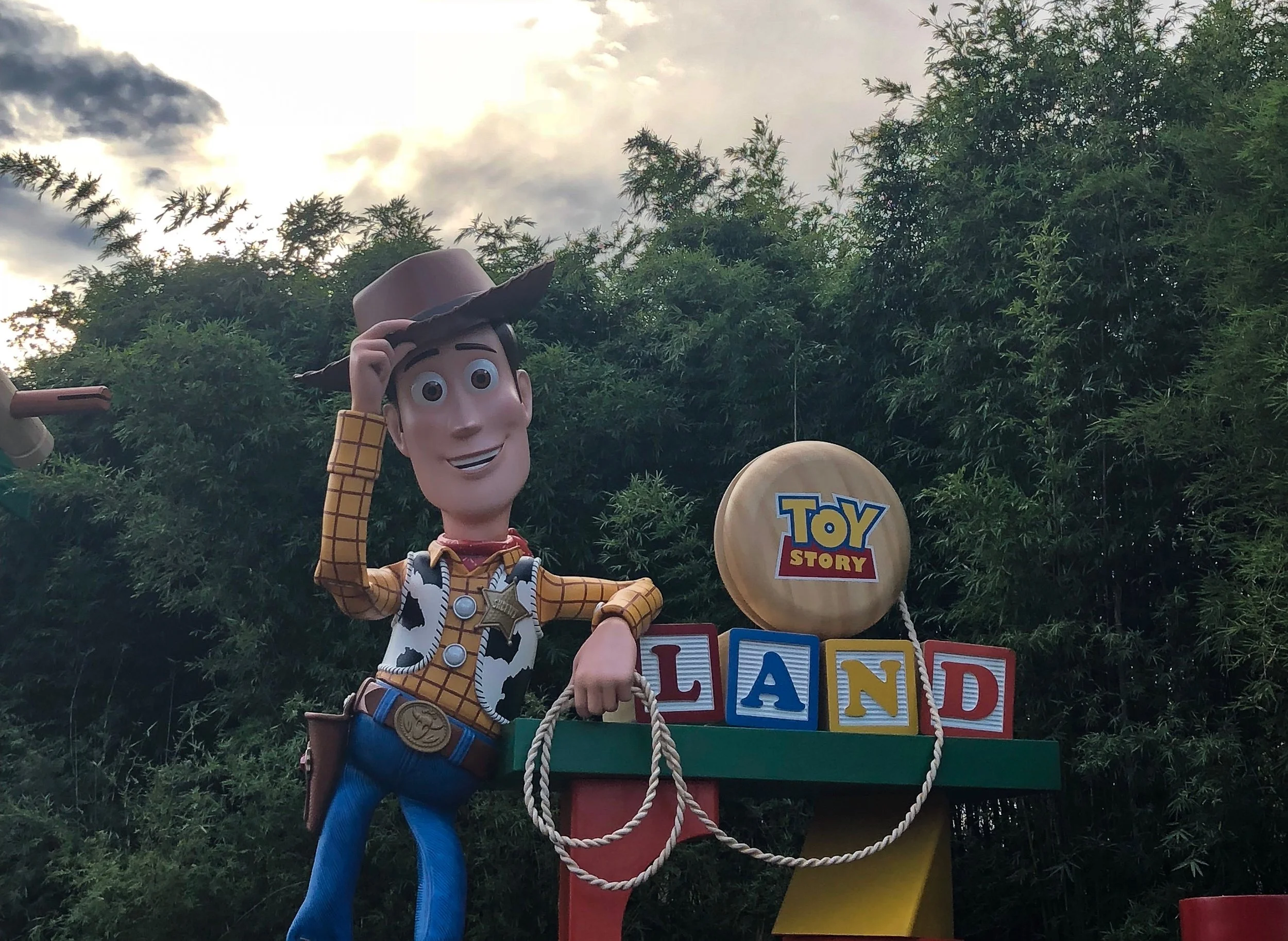 IMG_3268.jpeg