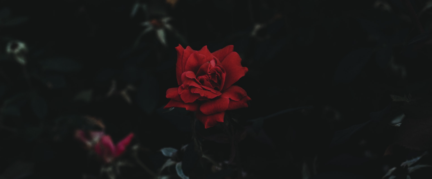 Screen Shot 2019-02-07 at 11.53.13 am.png