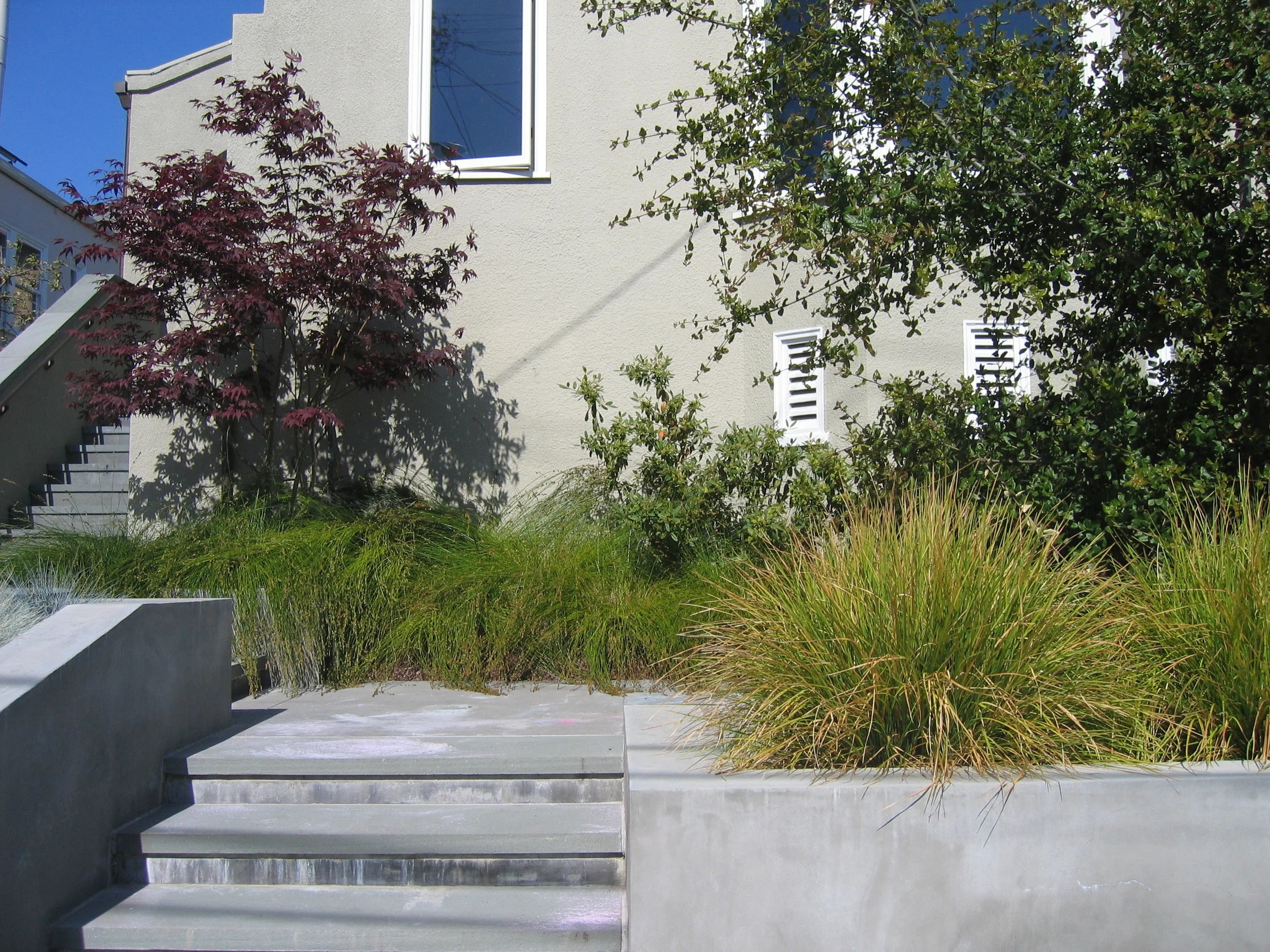  A young family wanted to renovate crumbling front steps and driveway and update their front yard with a more modernist sensibililty. 