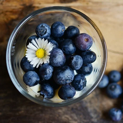 blueberryhealthy.jpg