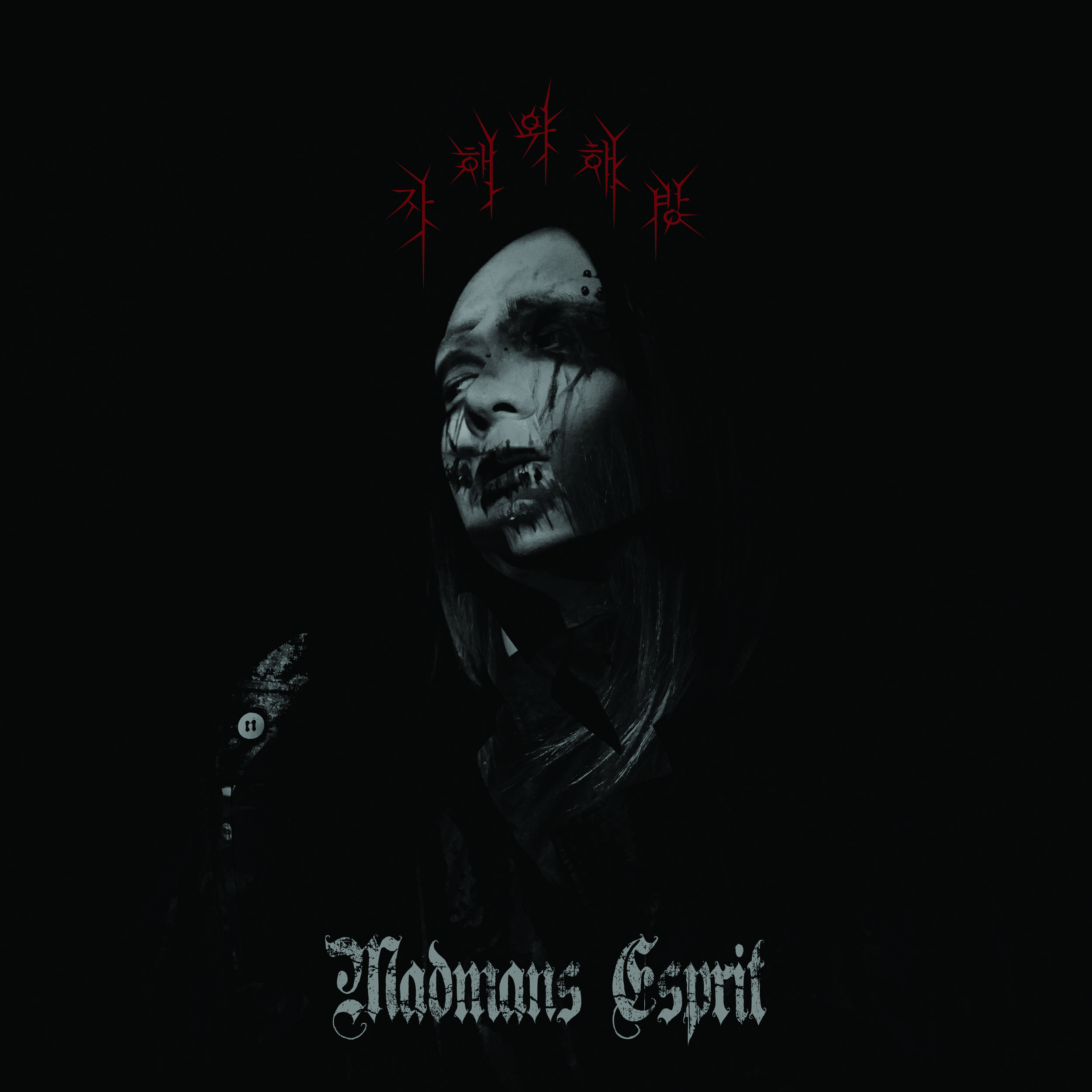 About and Discography — Madmans Esprit