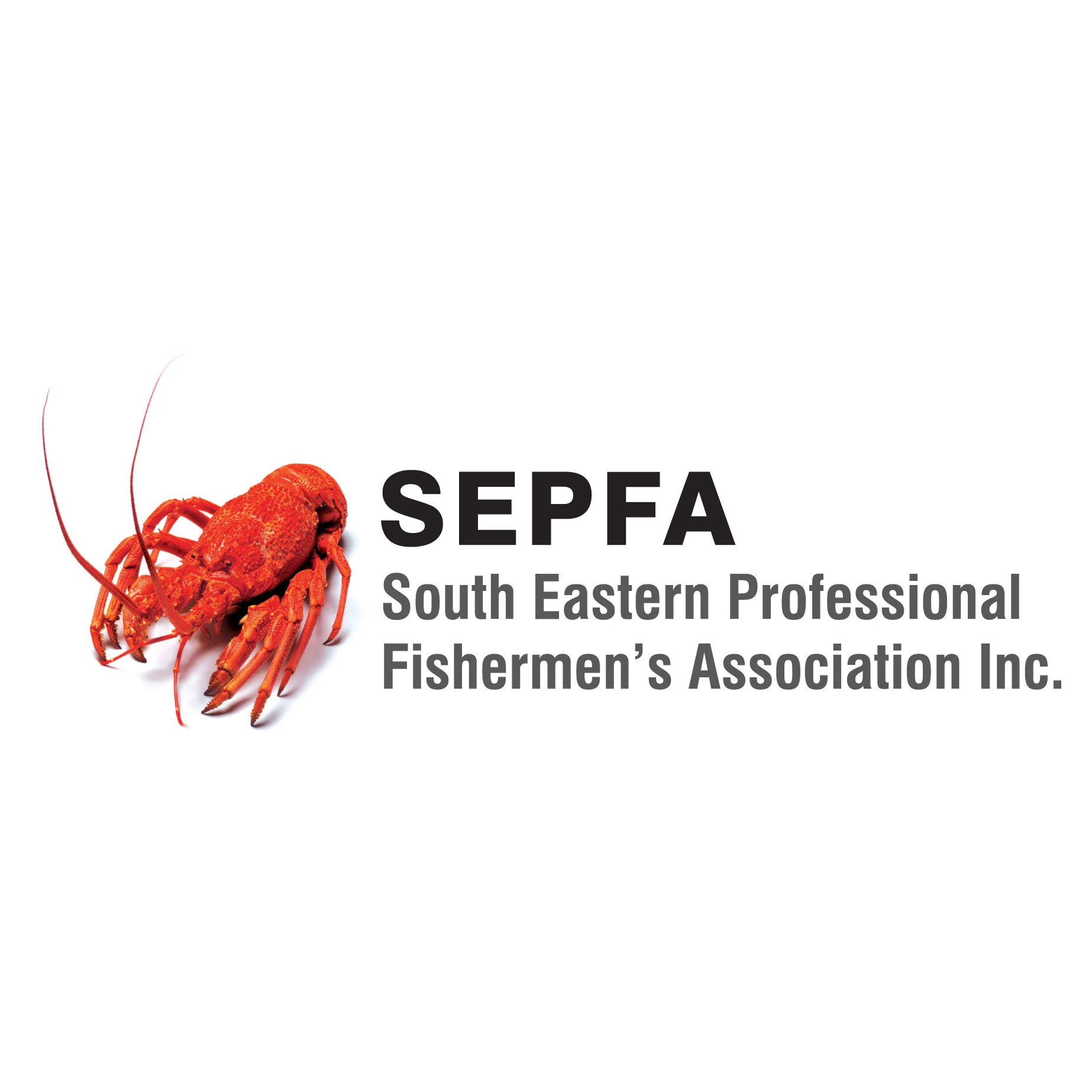 SEPFA_Wide_New.jpg