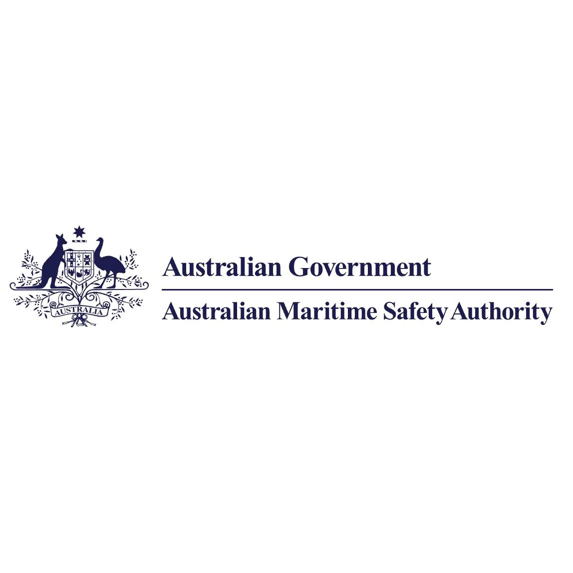 AMSA Logo.JPG
