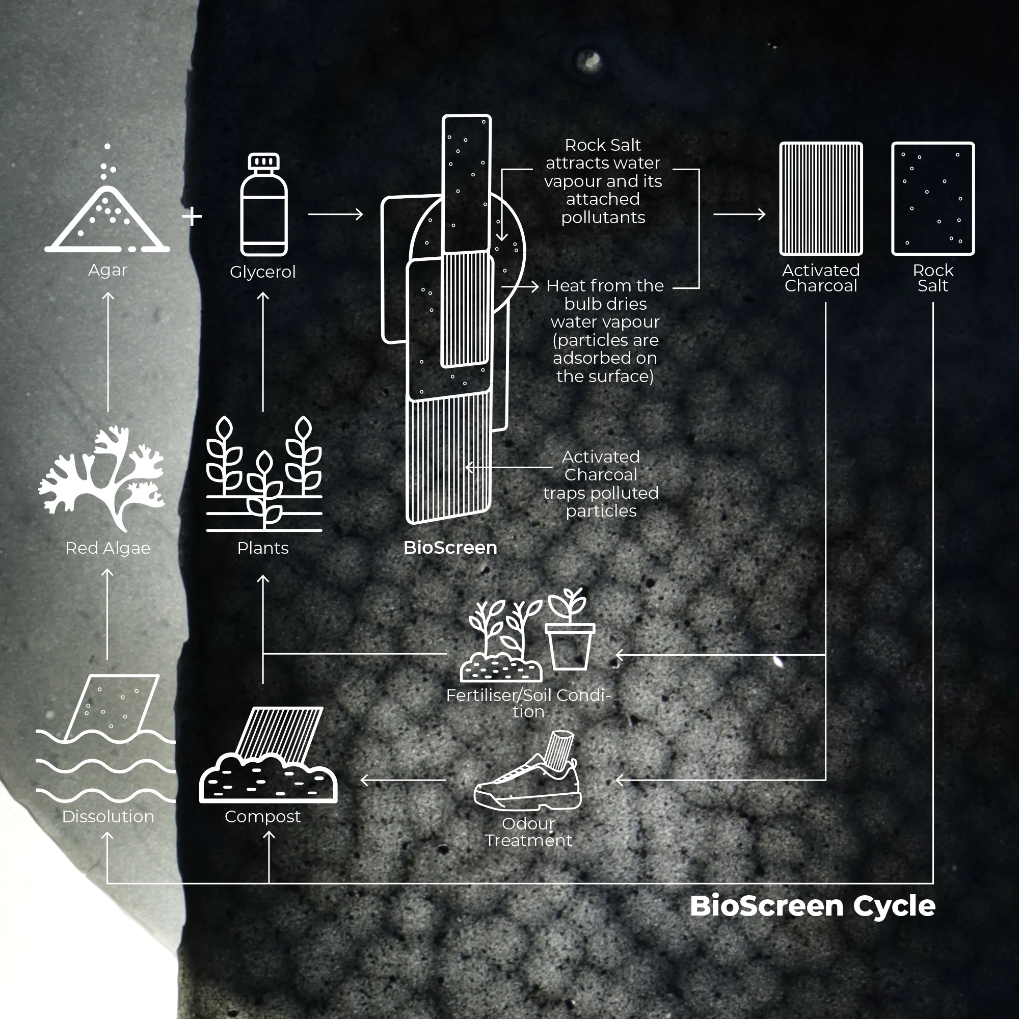 - BioScreen Infographic SQ.jpg
