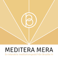 MediteraMera_logo.png