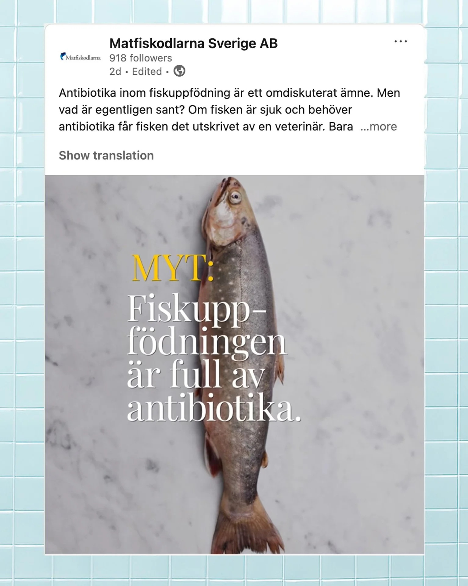 Hur bem&ouml;ter man myter och missuppfattningar p&aring; ett s&auml;tt som k&auml;nns b&aring;de sakligt och intressant?

Det har vi f&aring;tt utforska tillsammans med Matfiskodlarna. I en serie inl&auml;gg lyfter vi fakta om svensk fiskuppf&ouml;d