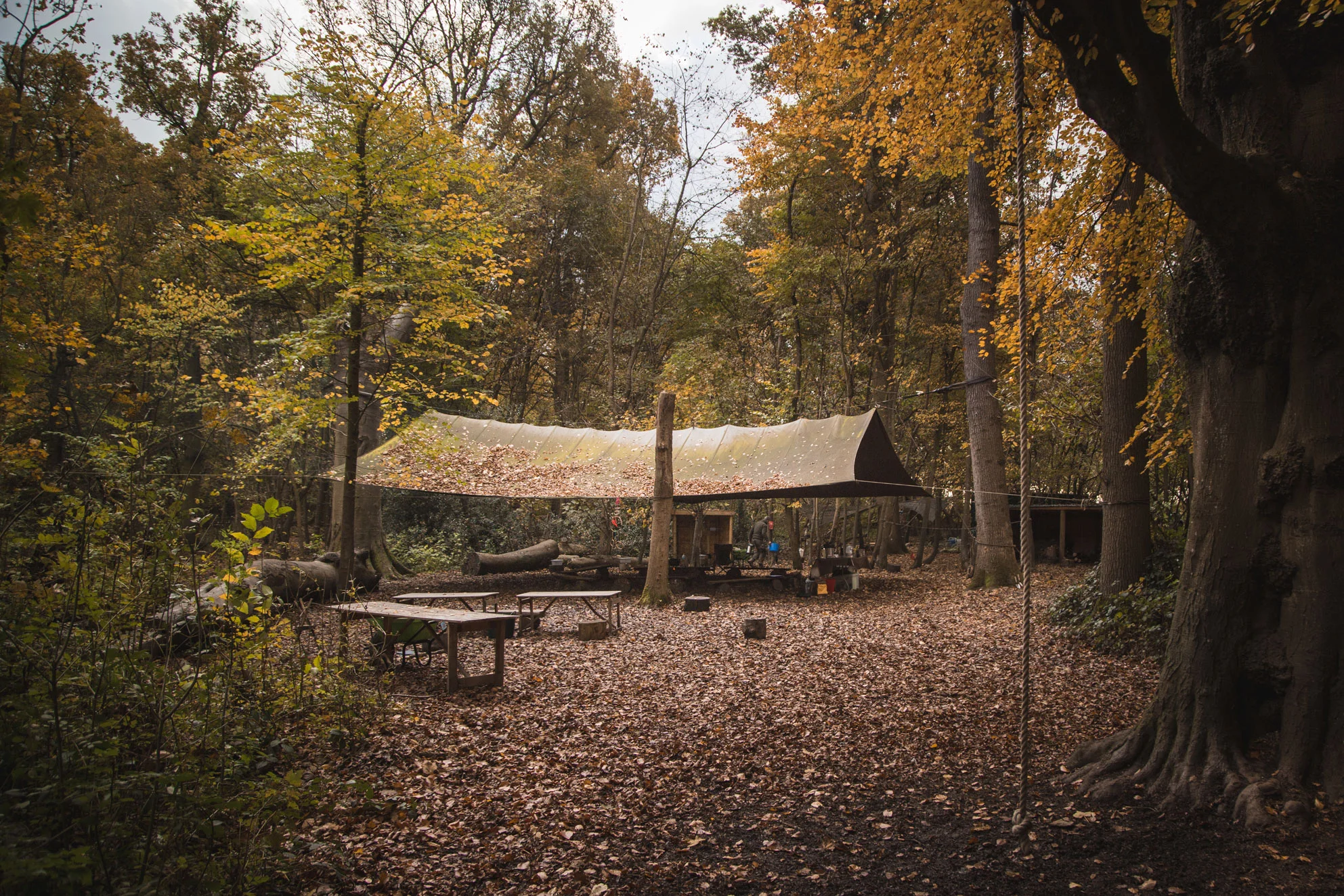 Hidden-Woods-beech-camp-web.jpg