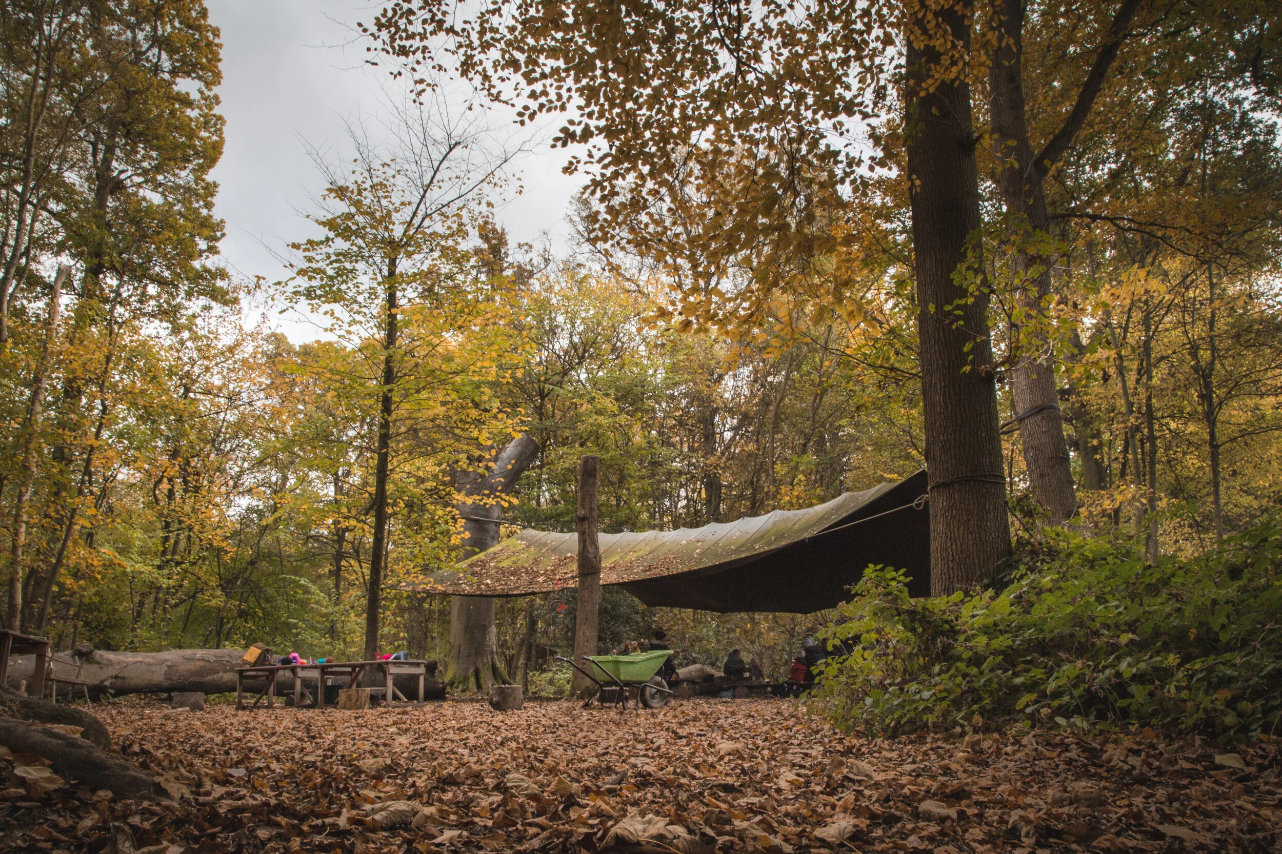 Hidden Woods Forest School & Outdoor Learning