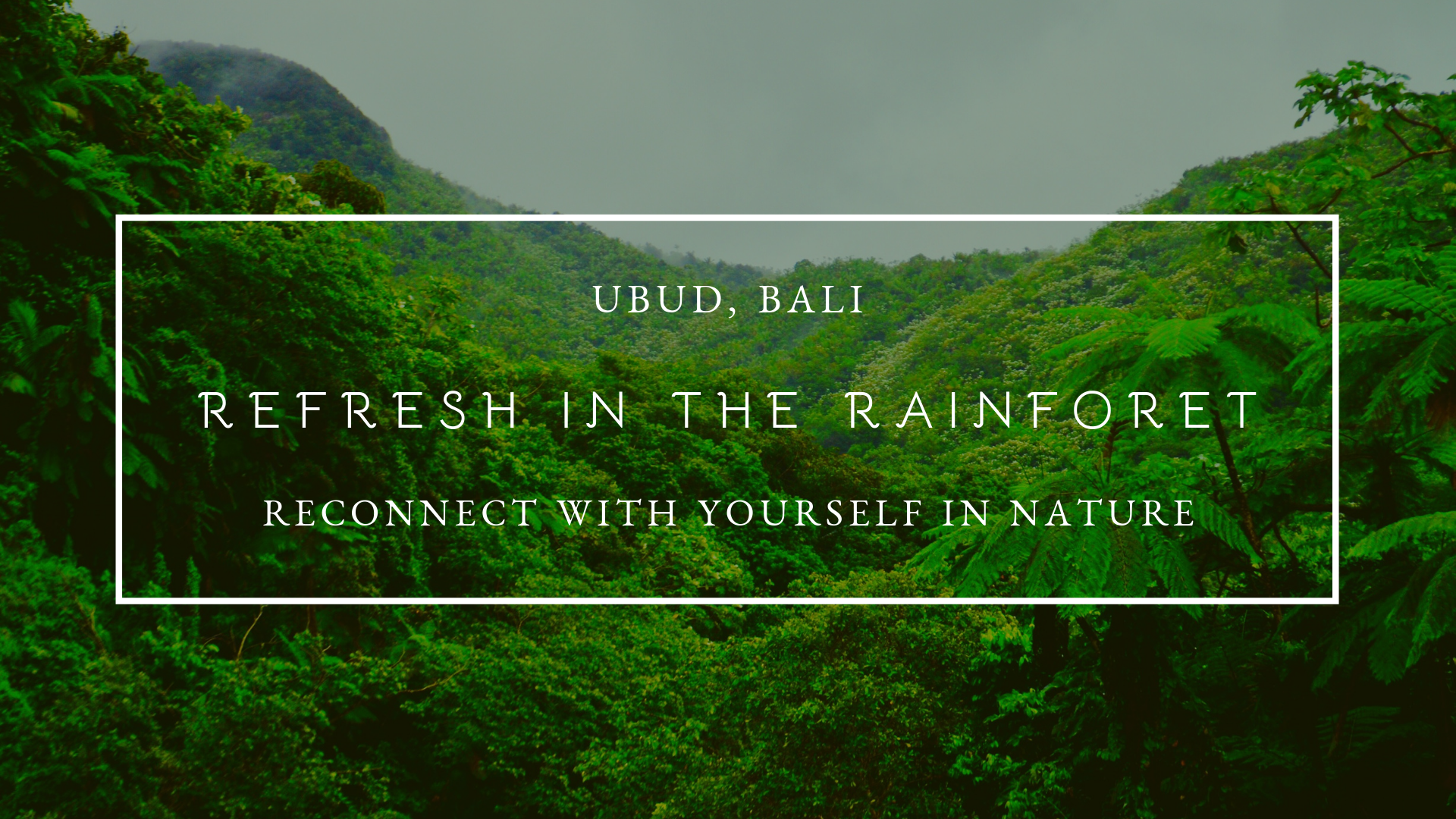 Refresh in the Rainforest - FB EVENT COVER.png