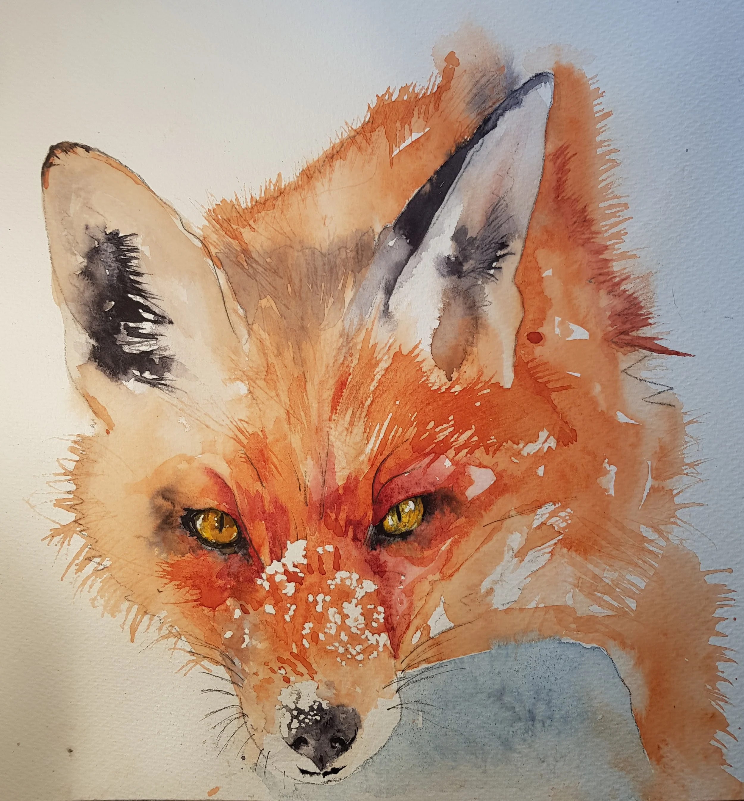 Fox with Attitude - SOLD