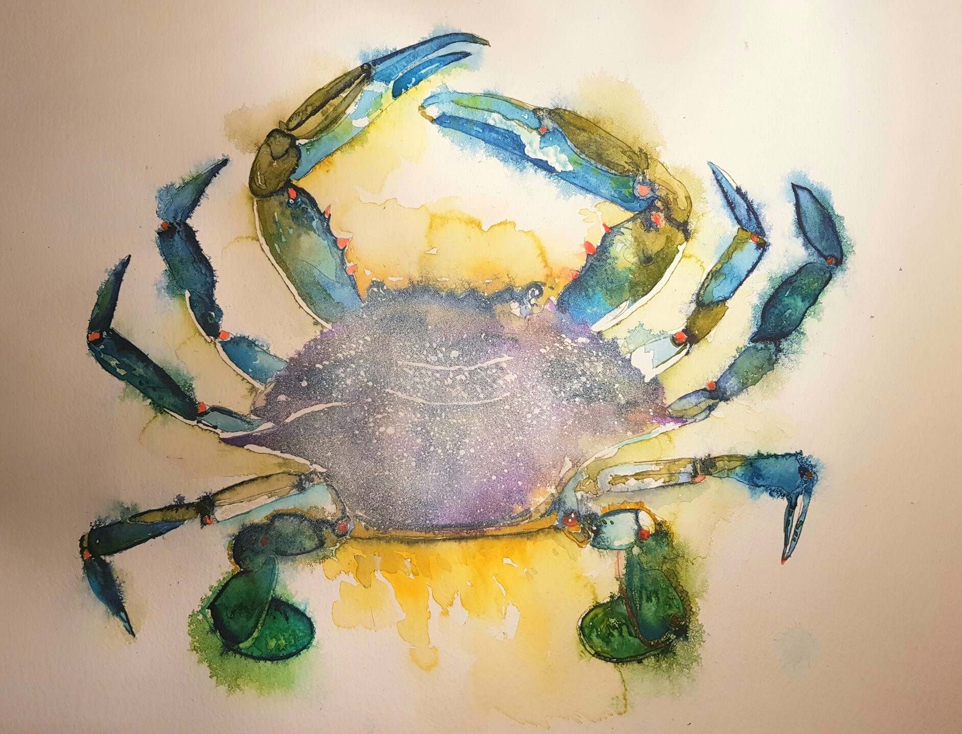 Breton Crab
