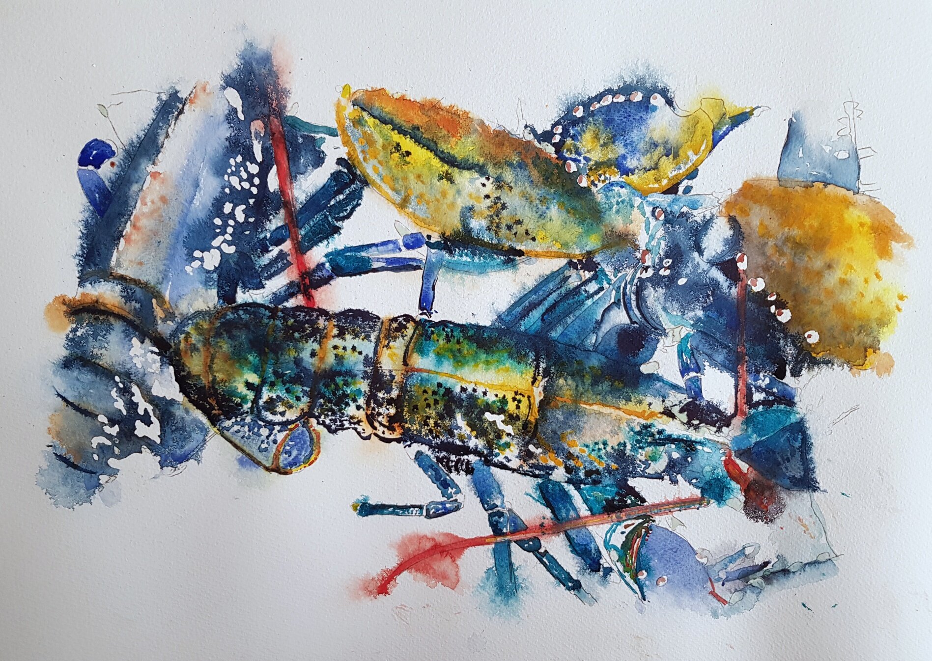 Melange of Breton Lobsters