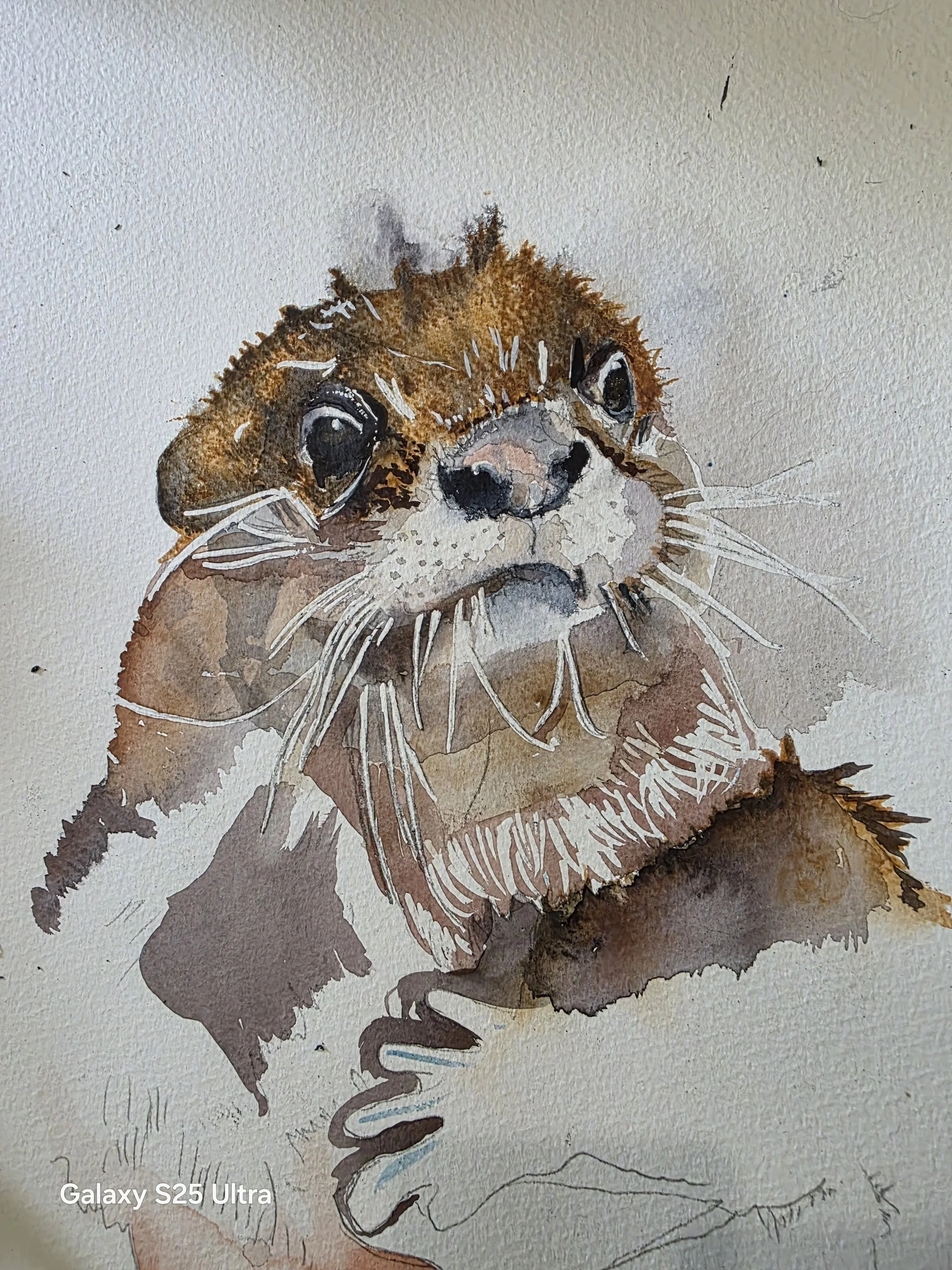 Steve the Otter