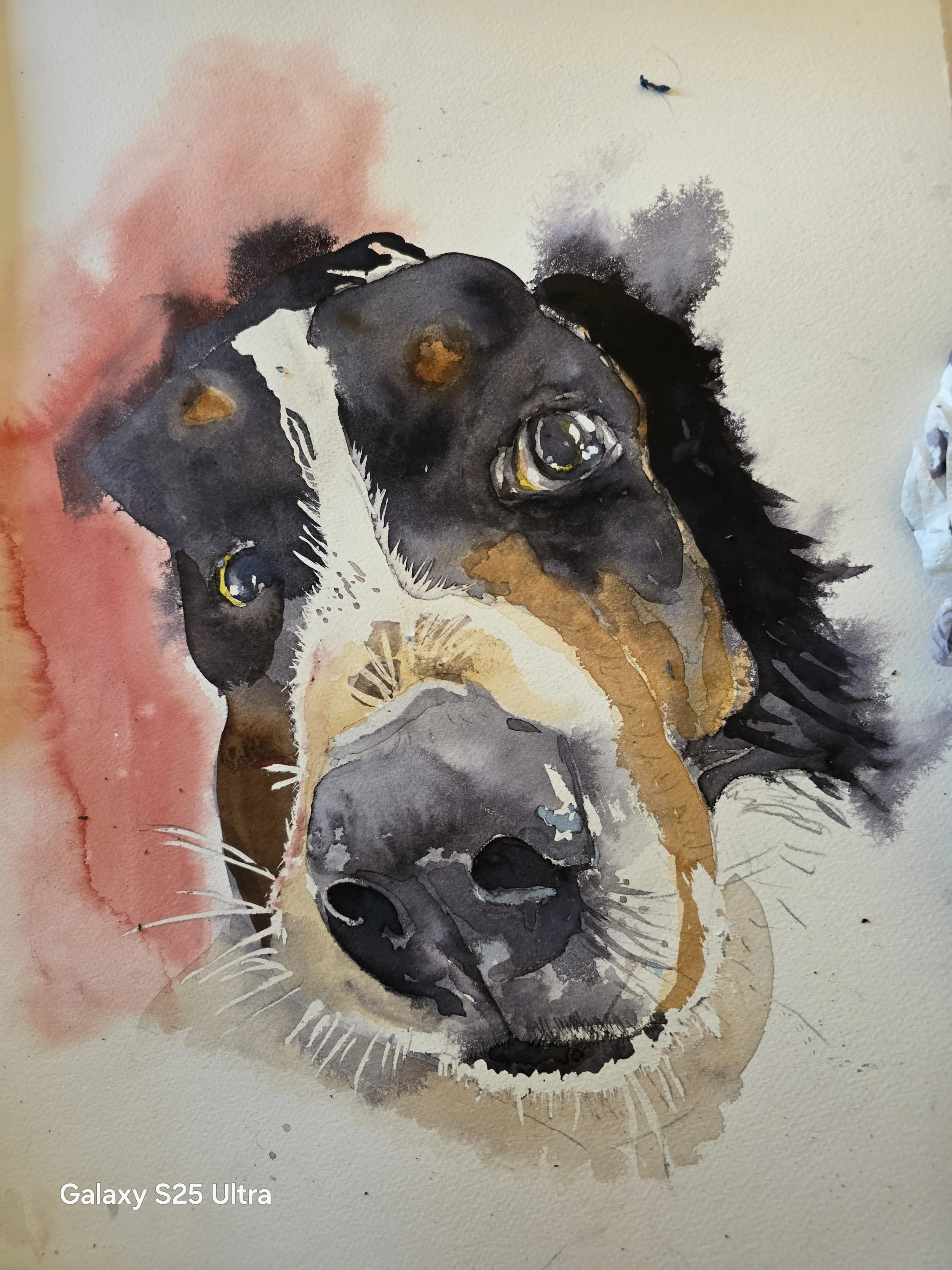 Victor Bouvier Bernois