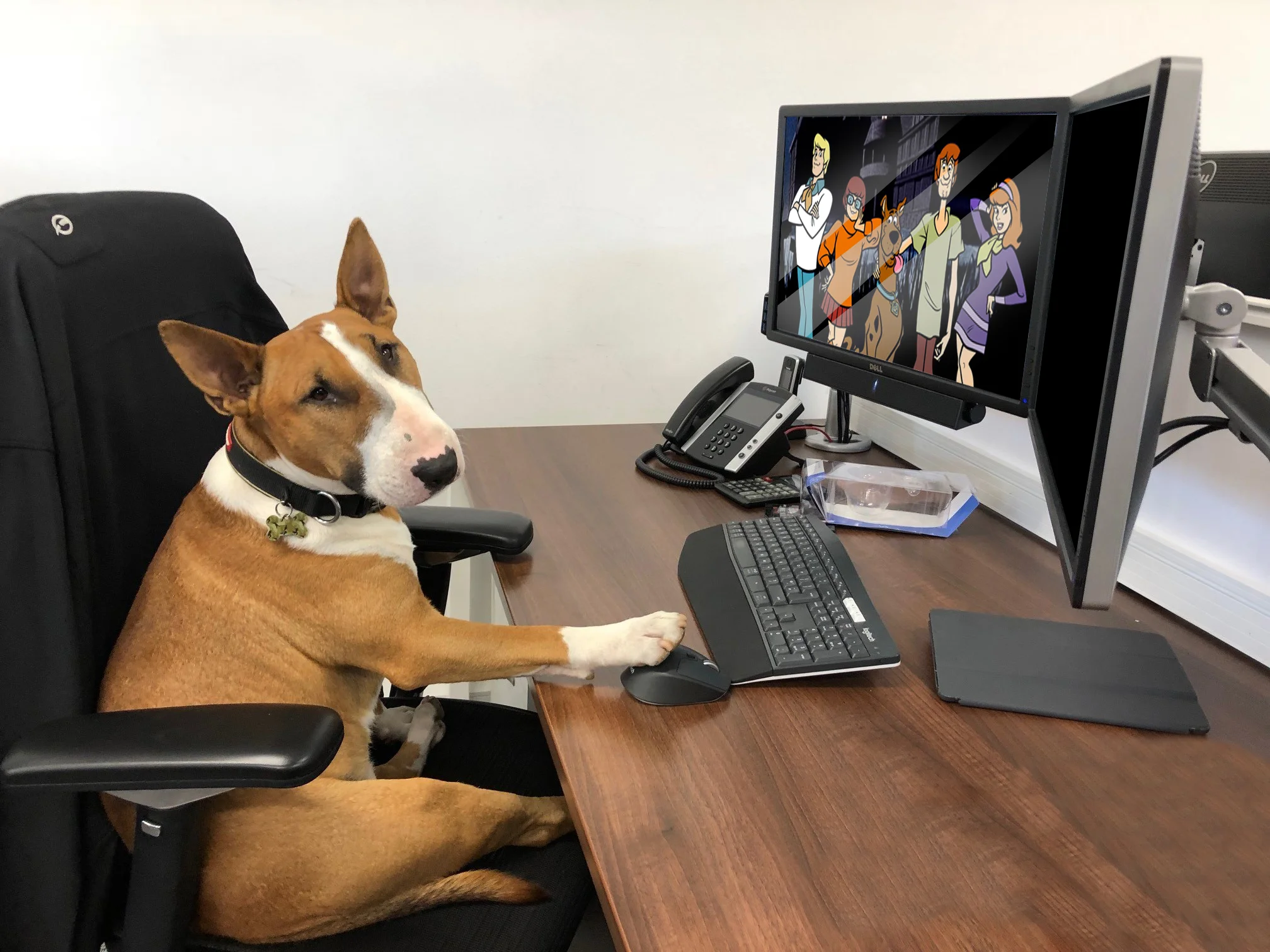 Caught in the Action