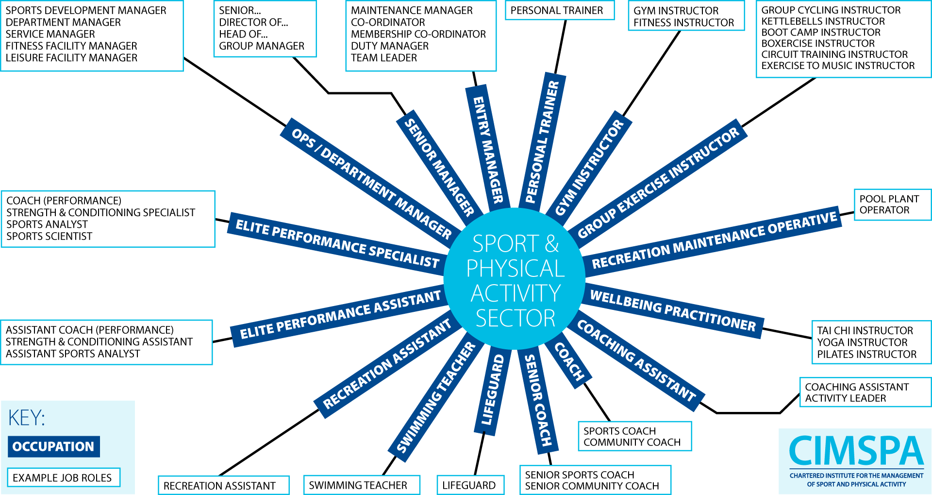 Occupations Job Roles Diagram.png