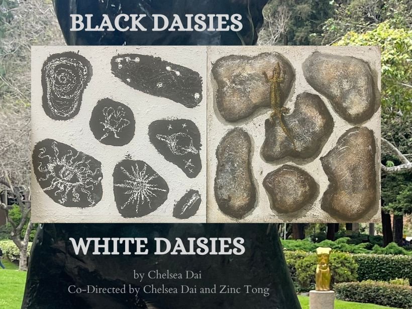 Black Daisies / White Daisies