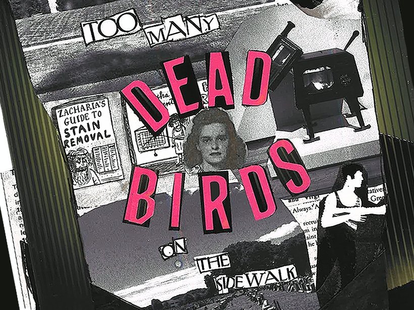 Too Many Dead Birds on the Sidewalk