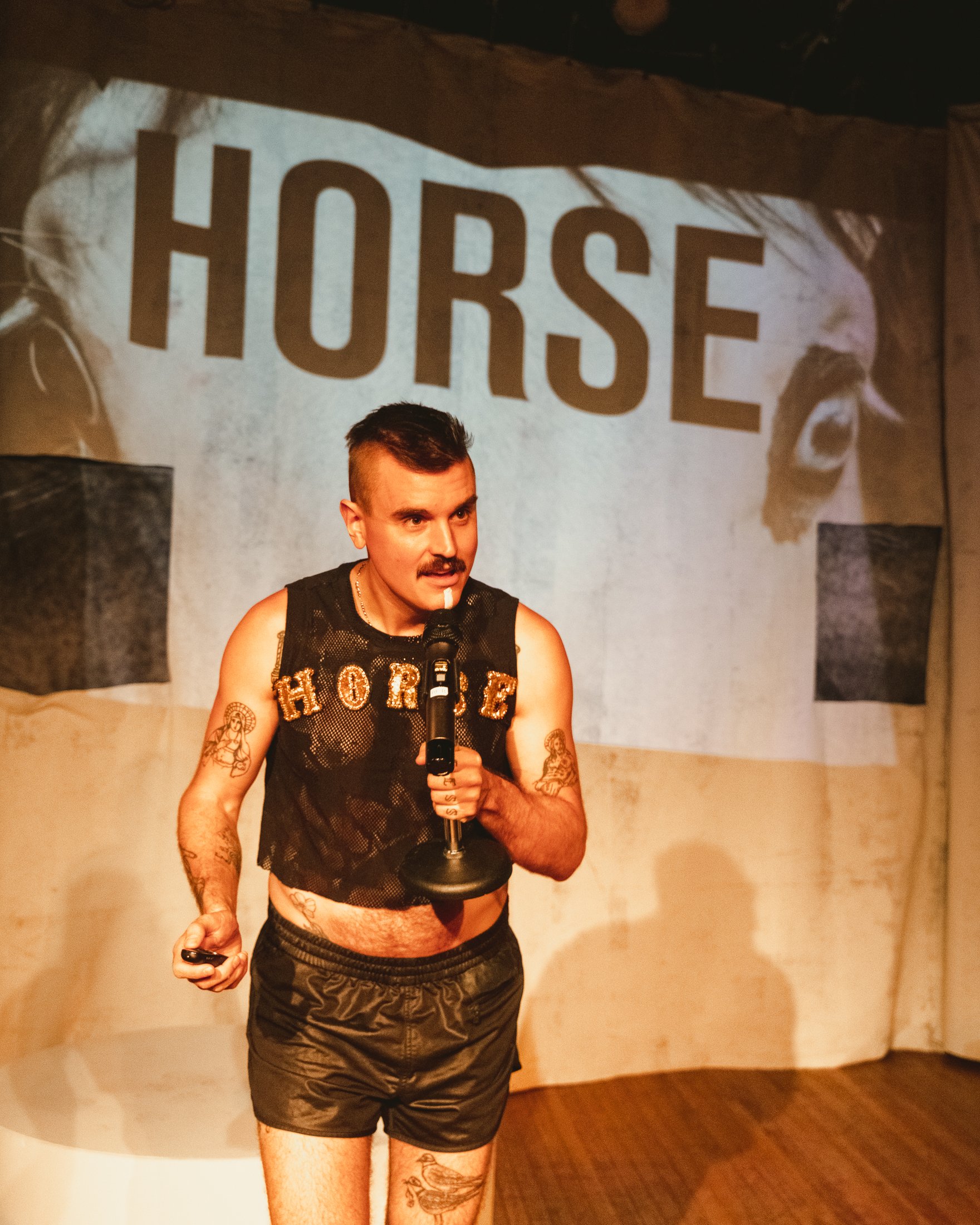 sleth - horsefacts.gov 3 - Luis Suarez.jpg