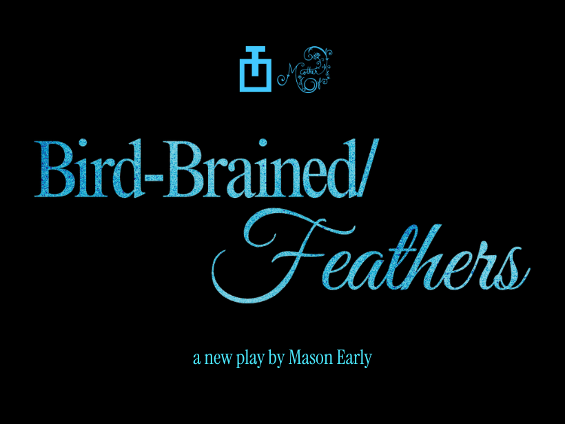 Bird-Brained / Feathers