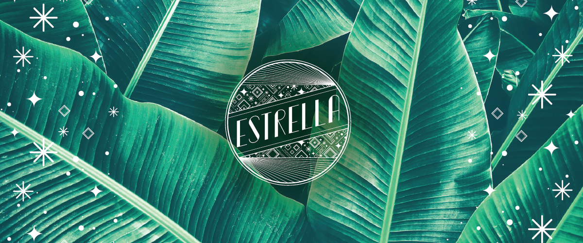 0218-bh-est-brs-webpagebanners_estrella copy.png