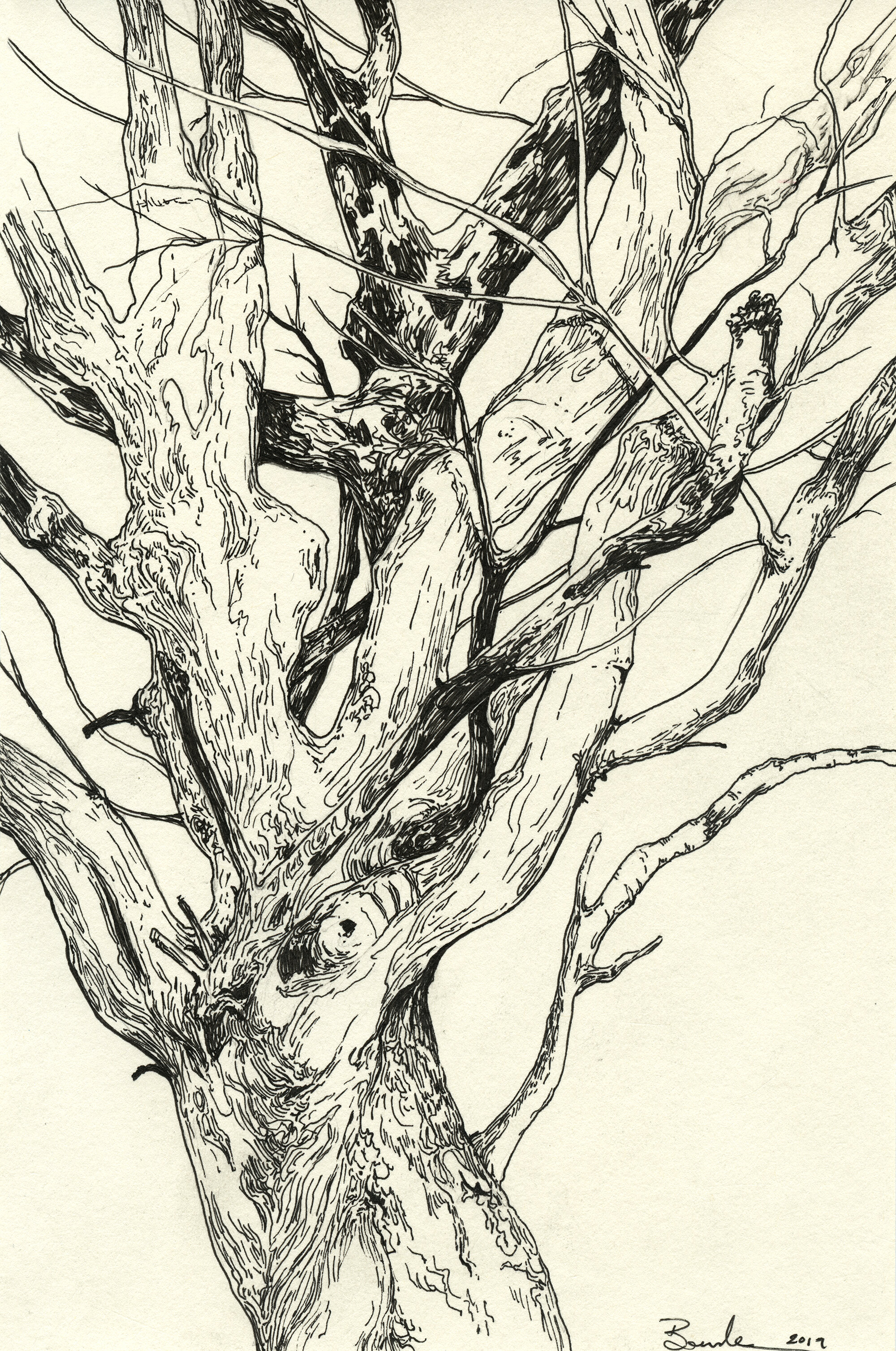 Tree Study 01