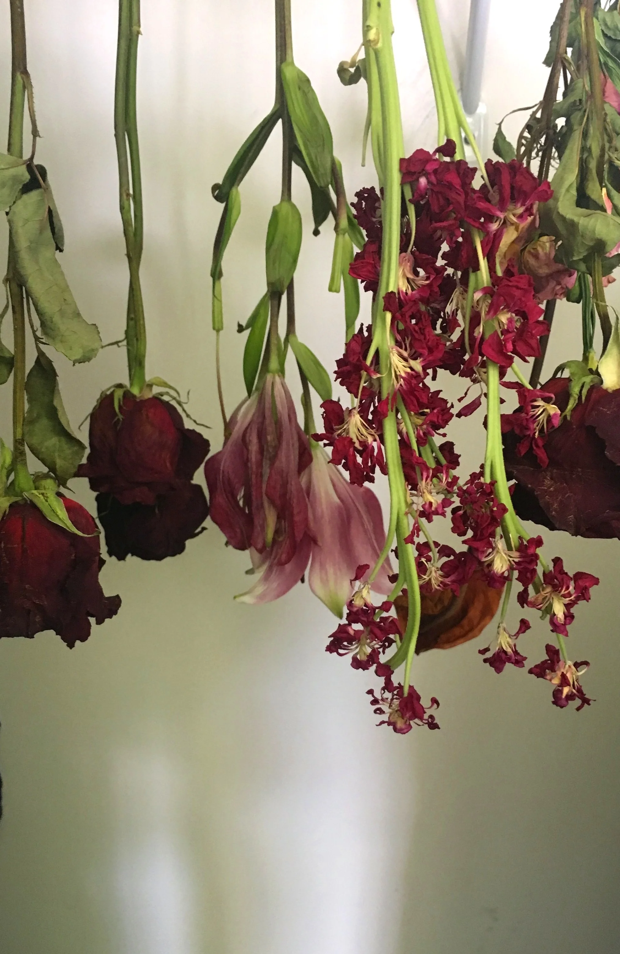 flowershanging.jpg