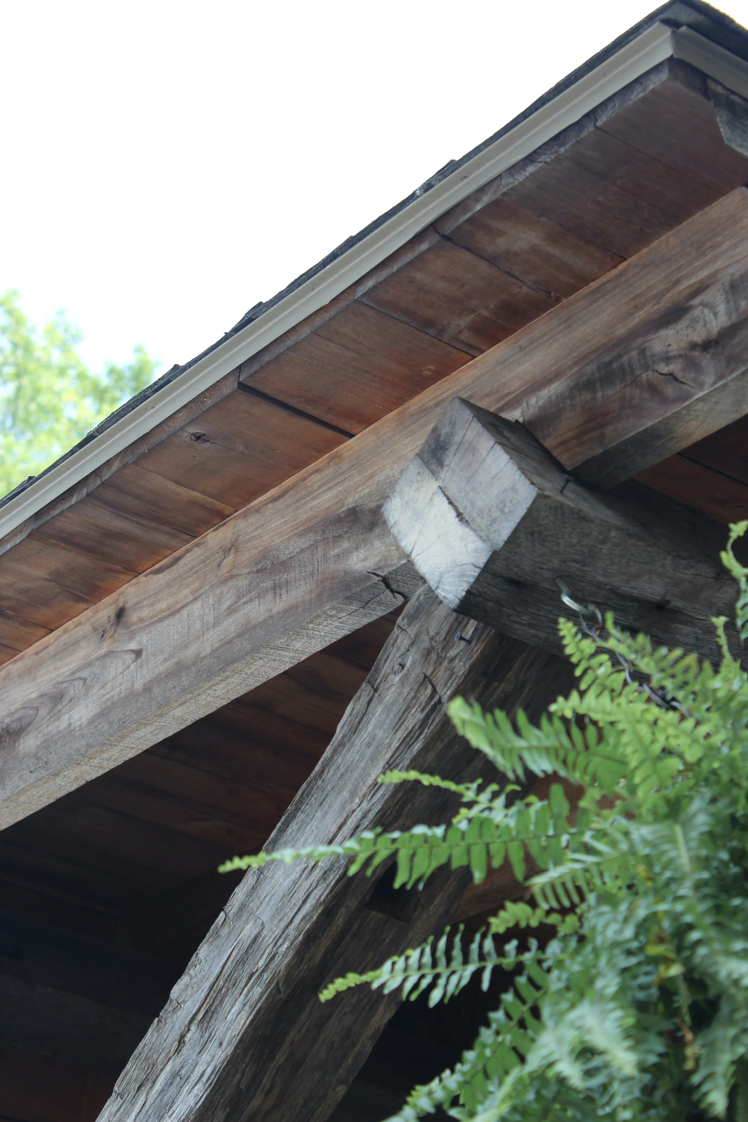 Saving Big on Lumber: A Family-Friendly Guide