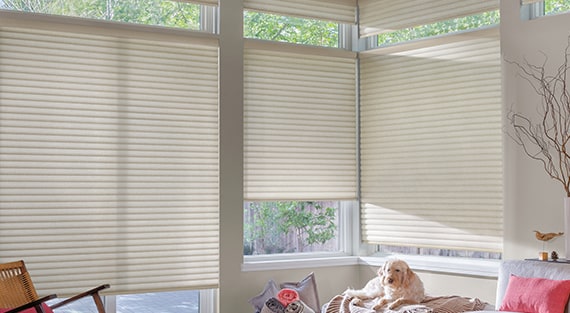 roller-shades-sonnette-category.jpg