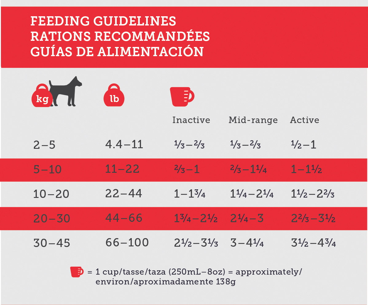 Dog feeding guide.jpg