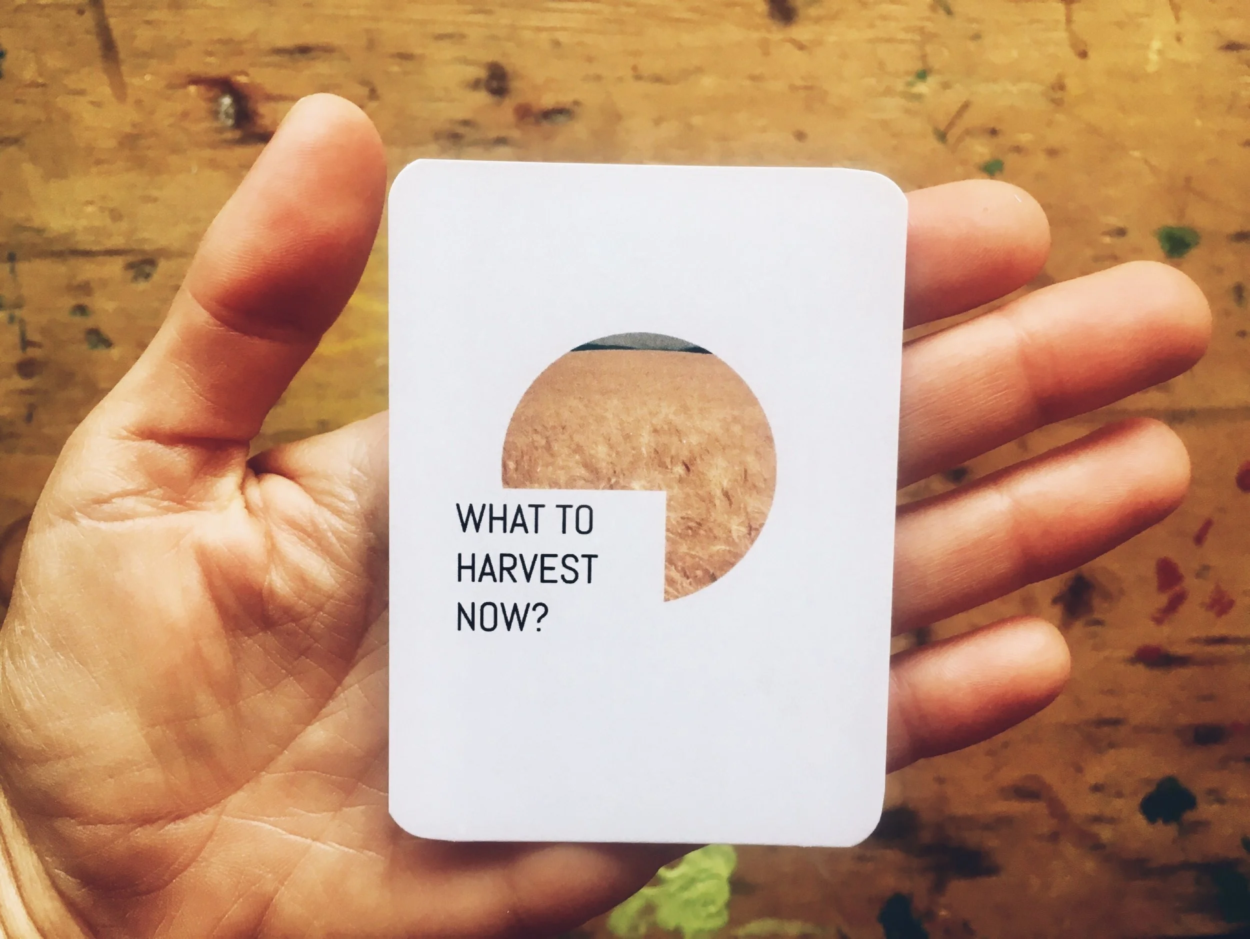 QU'EST CE QUI EST MÛR ?