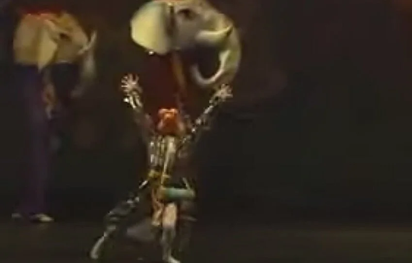 😂 tiger ballet ( Casse noisette kindda)