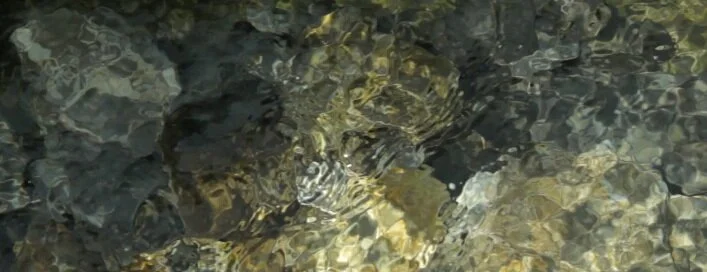 La source. Exactement là où je plonge. 7° toute l’année.  Ready ?