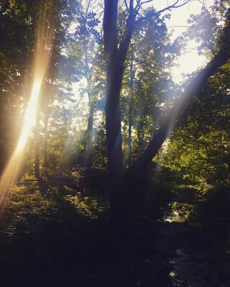 … en quittant le ruisseau .