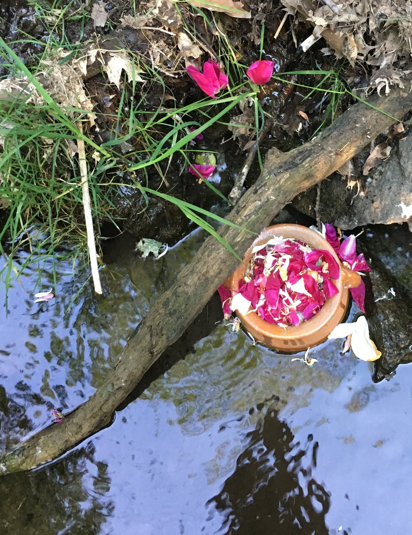 MixtureRuisseau.jpg
