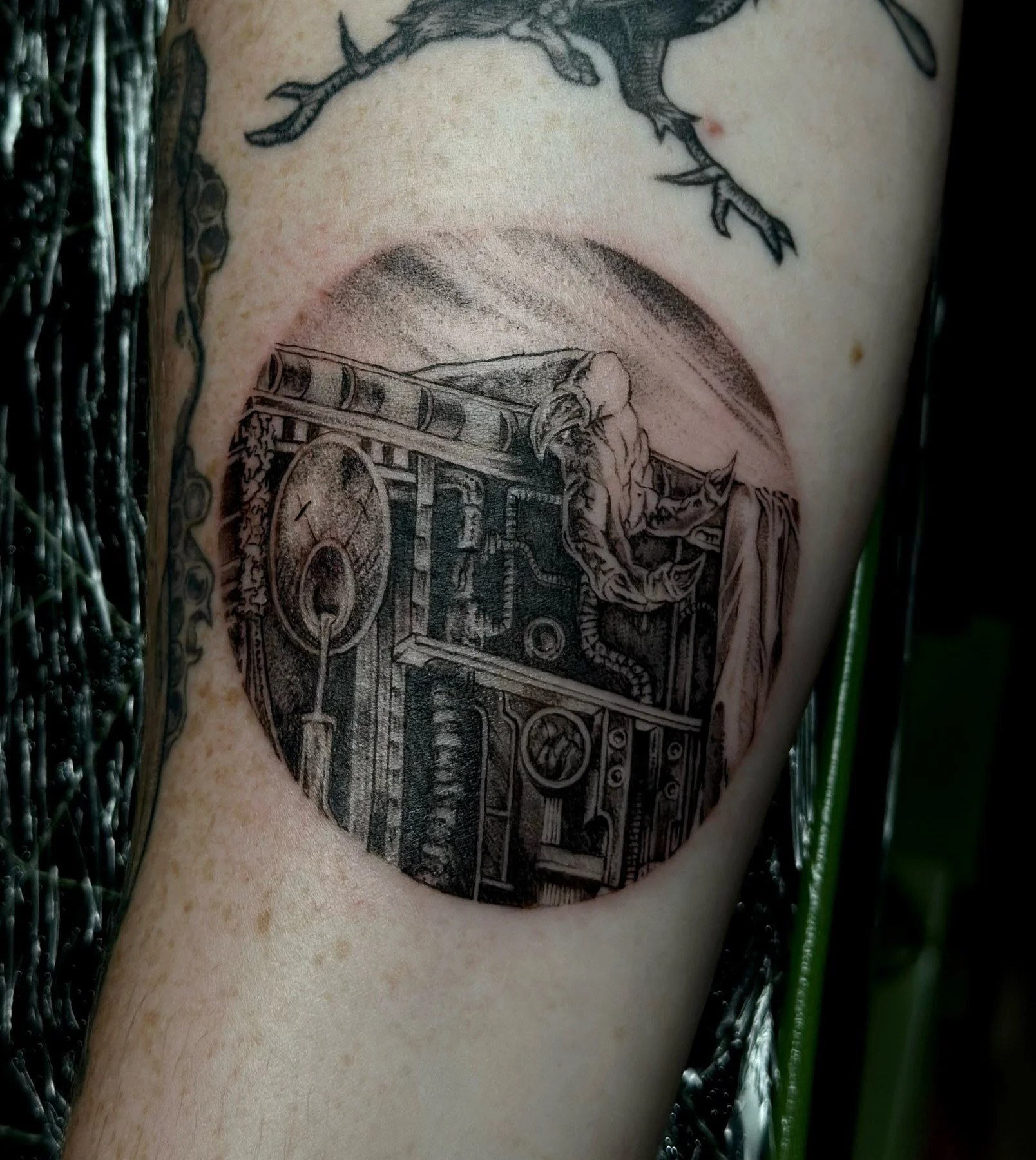 Tattoo of a vintage camera with a dinosaur climbing over it, on skin with freckles.