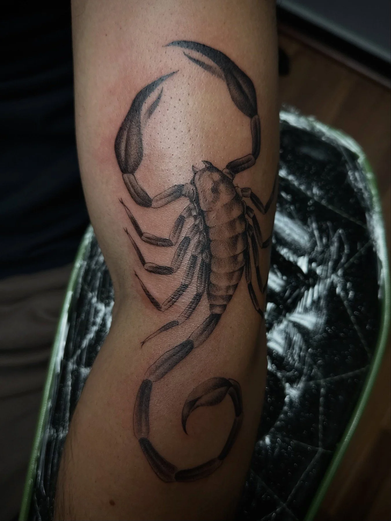 Tattoo of a scorpion on a person's arm.