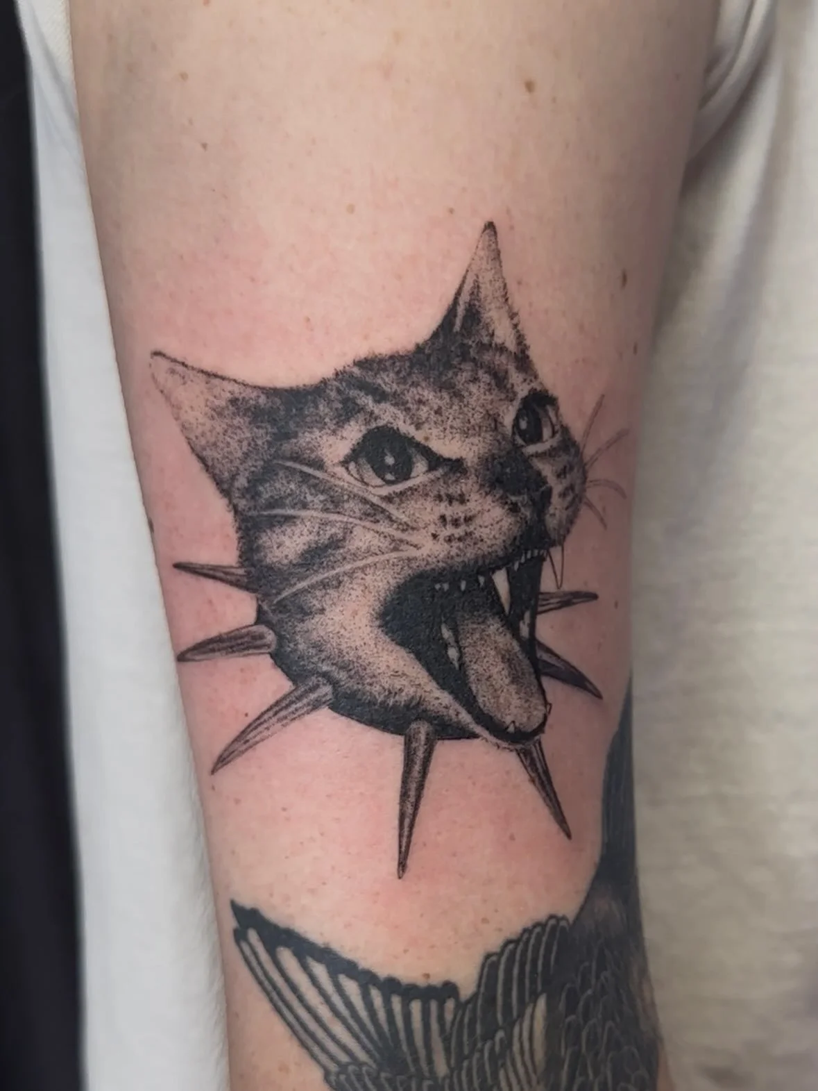 Tattoo of a fierce cat's face with sharp teeth, detailed fur, and pointed ears, surrounded by a spiky, circular frame on a person's arm.