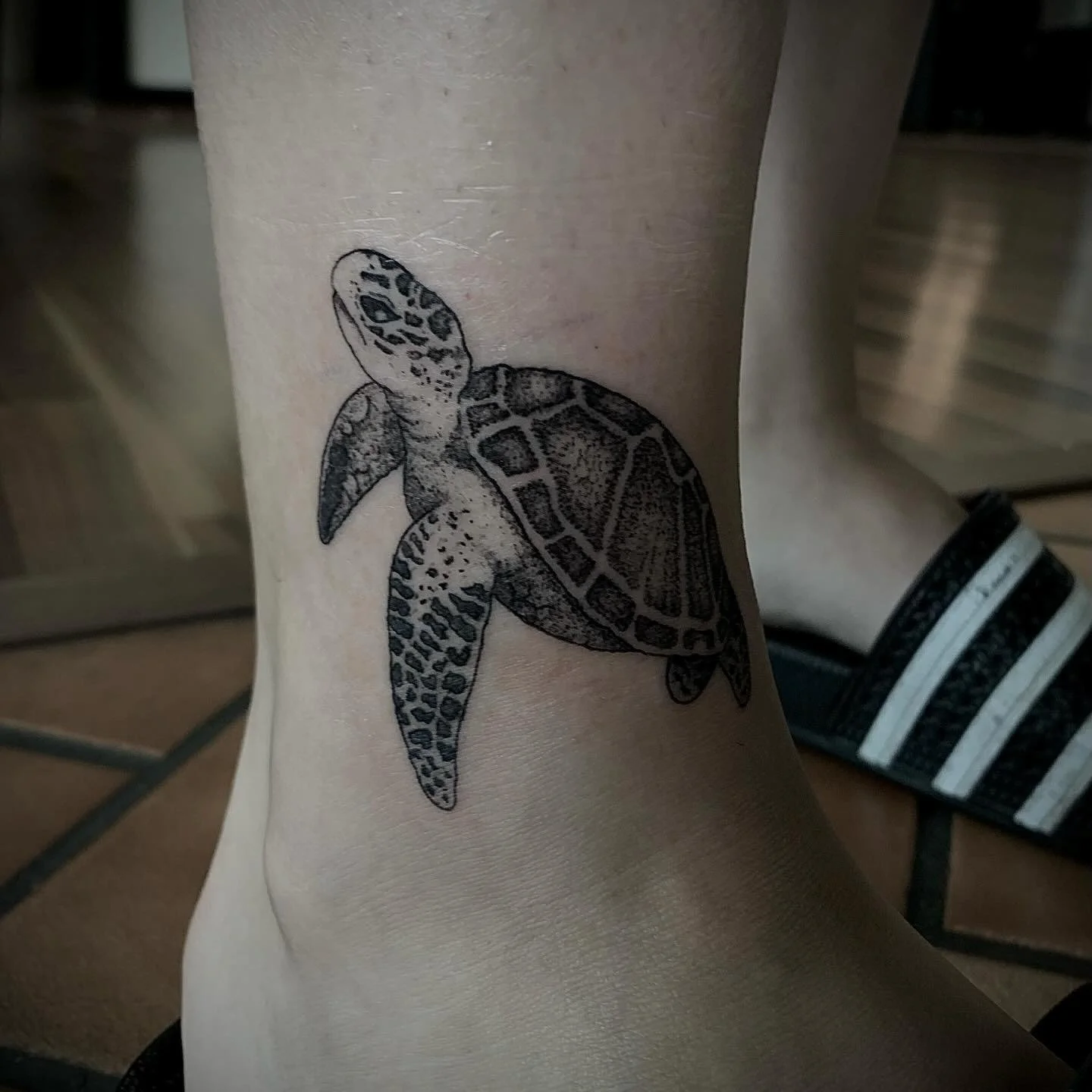 Black and gray tattoo of a sea turtle on person's leg