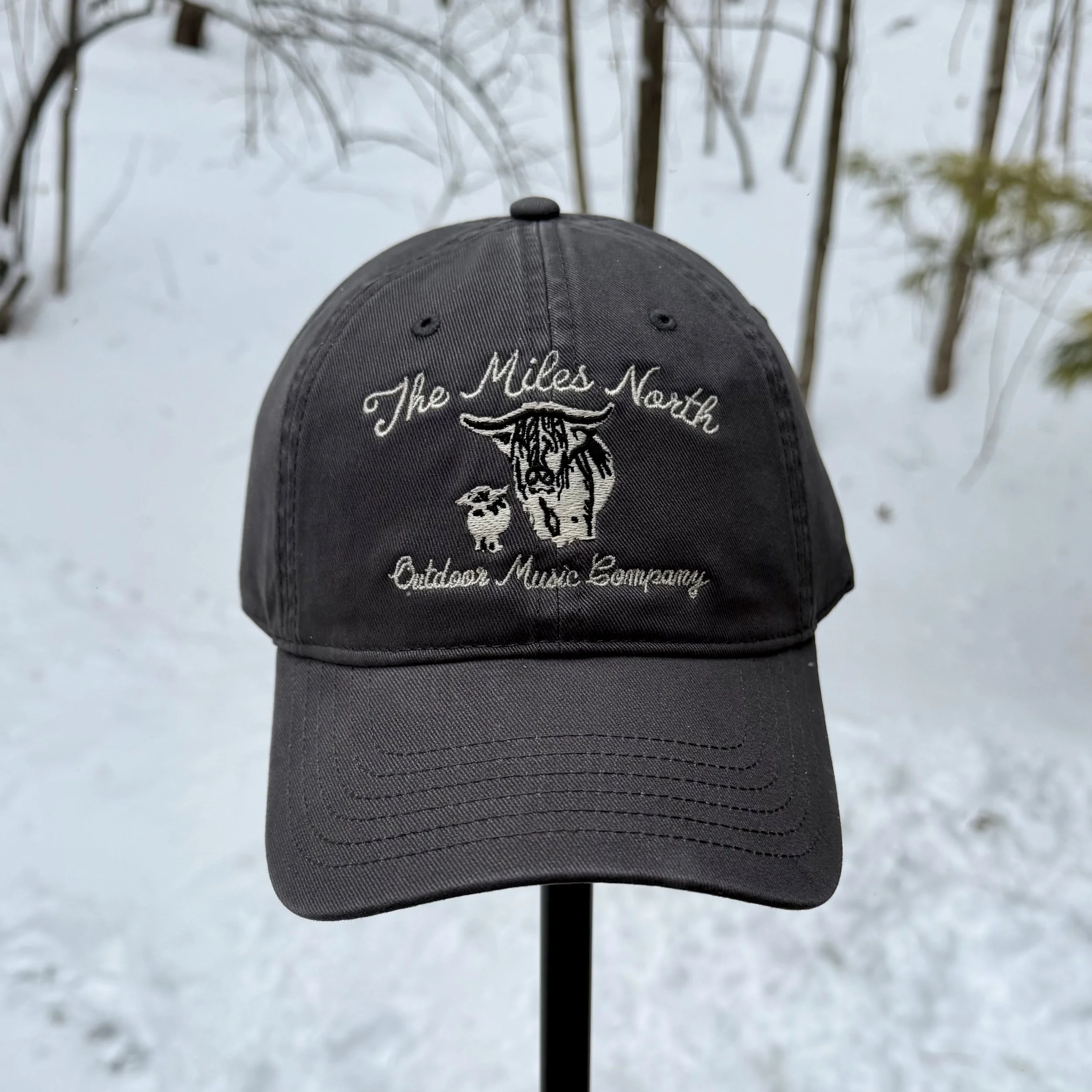 Dad Hat - TMN Outdoor Music Co.
